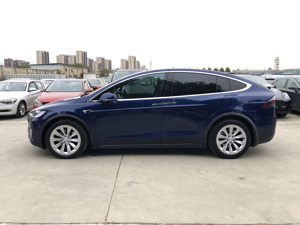 特斯拉 Model X  2017款 Model X 100D 長續(xù)航版圖片