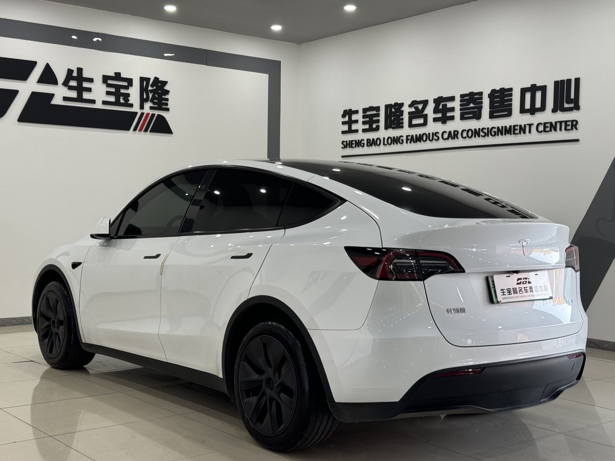 特斯拉 Model Y  2020款 改款 長(zhǎng)續(xù)航后輪驅(qū)動(dòng)版圖片