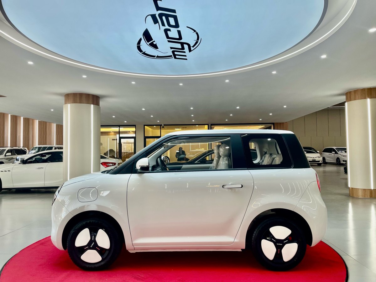 長(zhǎng)安 長(zhǎng)安Lumin  2023款 205km 香沁款圖片