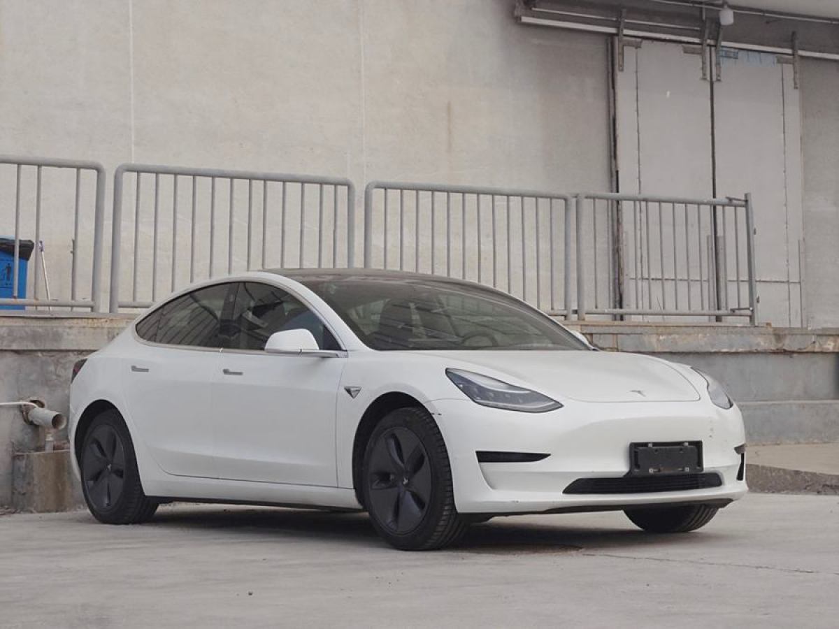 特斯拉 Model 3  2019款 長(zhǎng)續(xù)航后驅(qū)版圖片