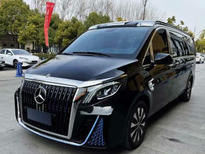 2023年6月 奔馳 禮驪汽車V級 醒獅系列 2.0T 琥 7座圖片