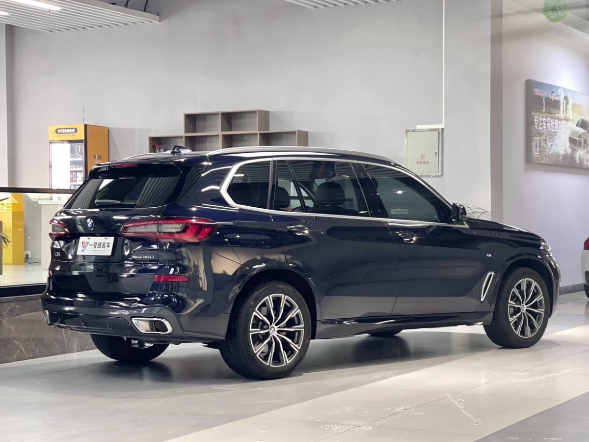 寶馬 寶馬X5  2022款 xDrive 30Li 尊享型M運(yùn)動套裝圖片