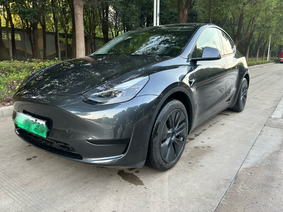 特斯拉 Model Y  2022款 后輪驅(qū)動版圖片