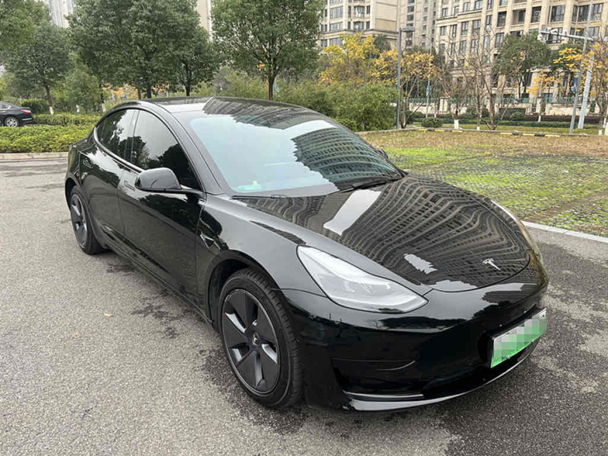 特斯拉 Model 3  2021款 標(biāo)準(zhǔn)續(xù)航后驅(qū)升級版 3D6圖片