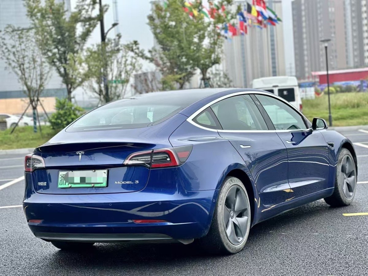 特斯拉 Model 3  2019款 標(biāo)準(zhǔn)續(xù)航后驅(qū)升級(jí)版圖片