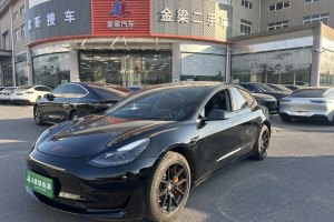 Model 3 特斯拉 標(biāo)準(zhǔn)續(xù)航后驅(qū)升級(jí)版 3D6