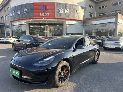 2021年6月 特斯拉 Model 3 標(biāo)準(zhǔn)續(xù)航后驅(qū)升級(jí)版 3D6圖片