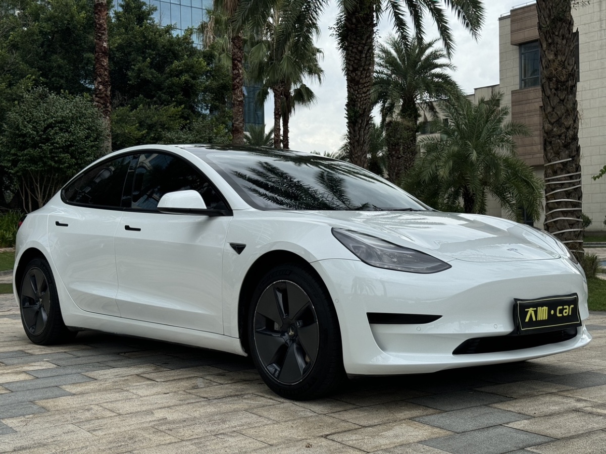 特斯拉 Model Y  2021款 标准续航后驱升级版图片