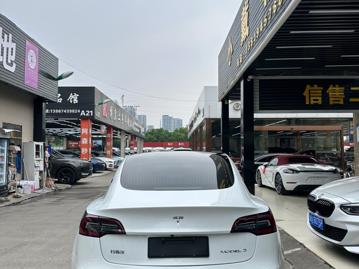 特斯拉 Model Y  2020款 標(biāo)準(zhǔn)續(xù)航后驅(qū)升級版圖片