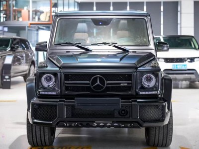 2019年2月 奔馳 奔馳G級(jí)AMG AMG G 63 Edition 463圖片