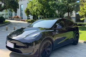 Model Y 特斯拉 Performance高性能全輪驅(qū)動版
