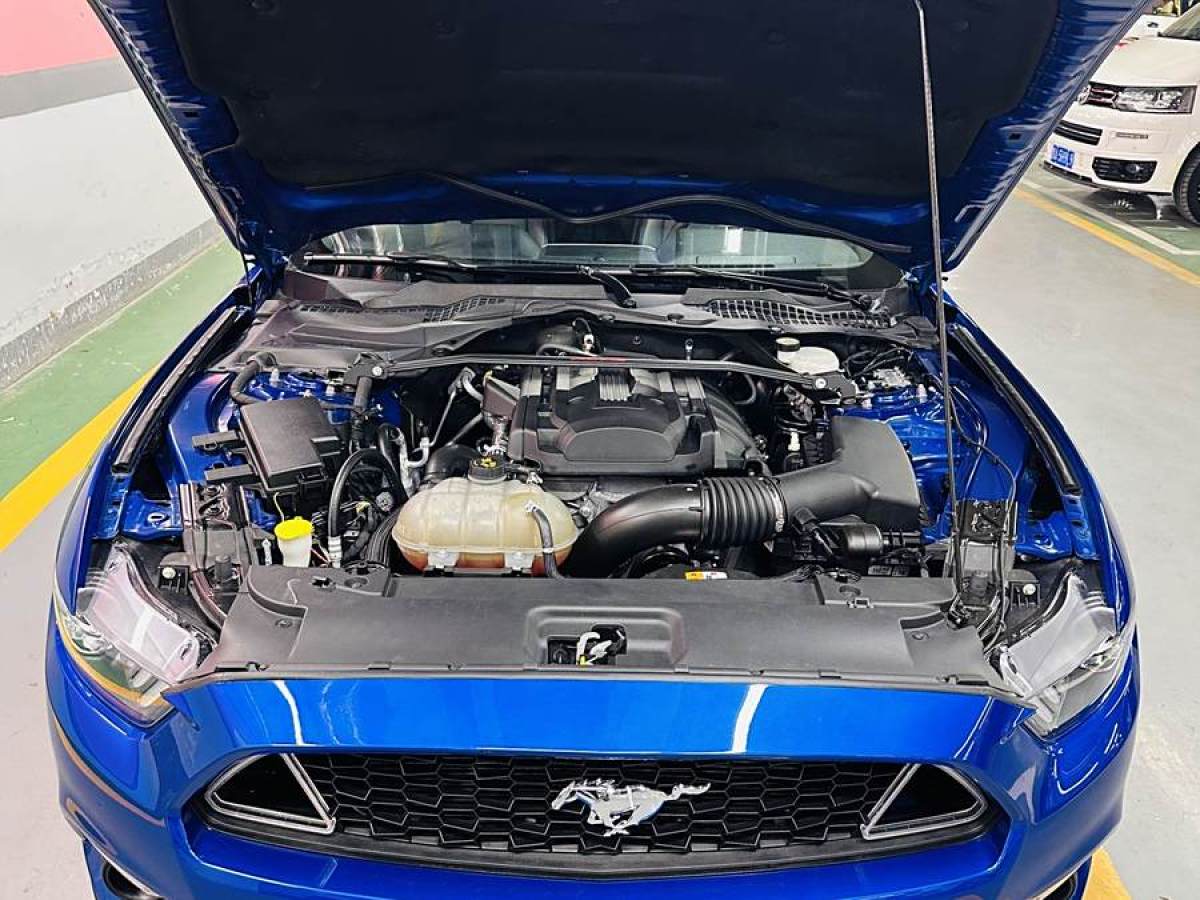 2017年6月福特 Mustang  2017款 2.3T 性能版