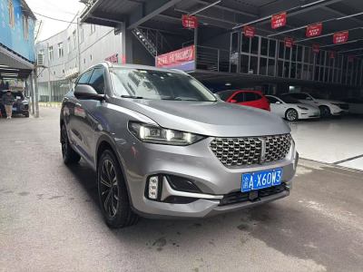 2020年10月 WEY VV6 2.0T 兩驅(qū)智護(hù)+圖片