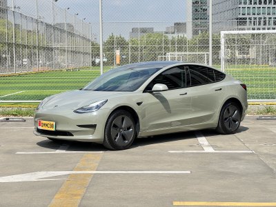 2020年4月 特斯拉 Model 3 标准续航后驱升级版图片