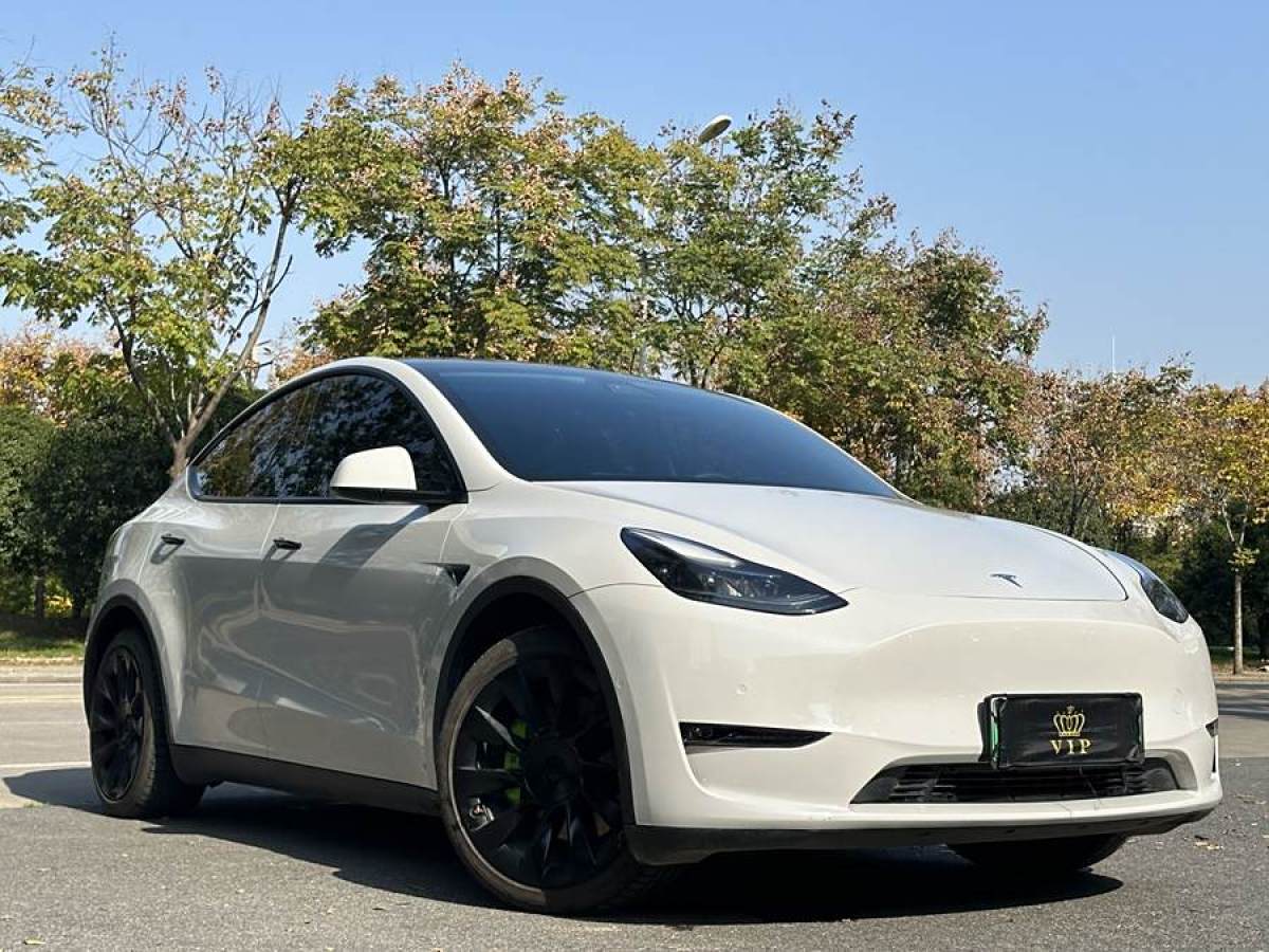 特斯拉 Model Y  2021款 改款 長續(xù)航全輪驅(qū)動版圖片