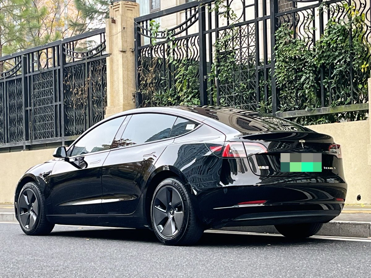 特斯拉 Model 3  2019款 標(biāo)準(zhǔn)續(xù)航后驅(qū)升級版圖片