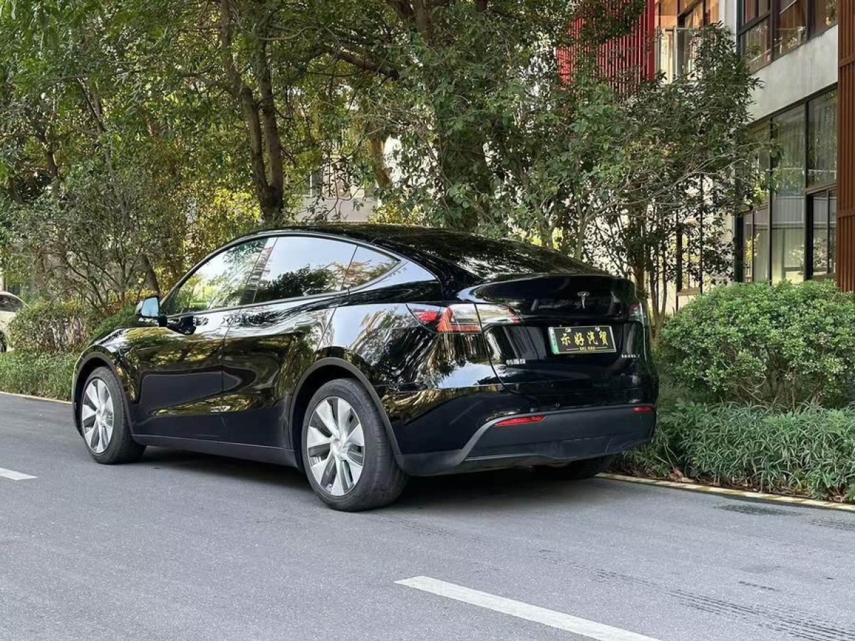 特斯拉 Model Y  2021款 標(biāo)準(zhǔn)續(xù)航后驅(qū)版圖片