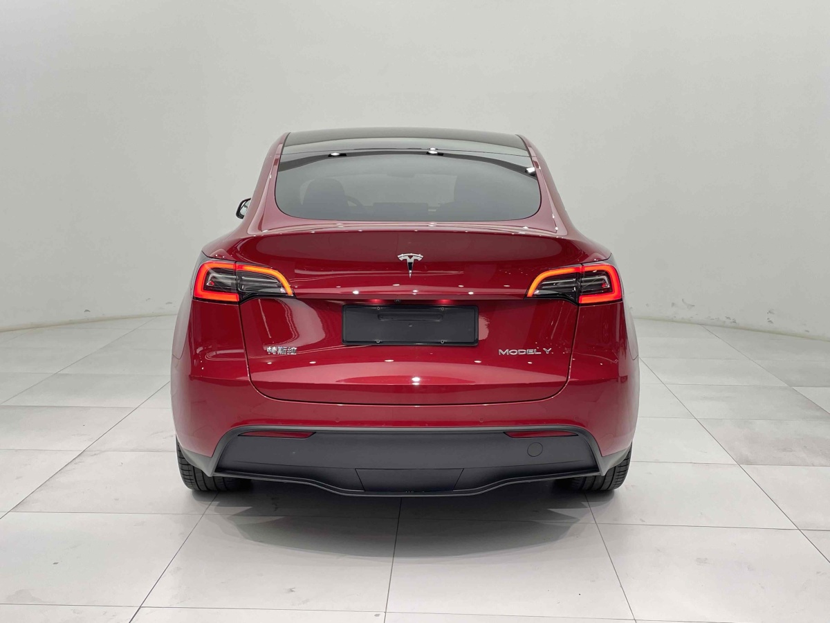 特斯拉 Model Y  2021款 長續(xù)航全輪驅動版 3D7圖片