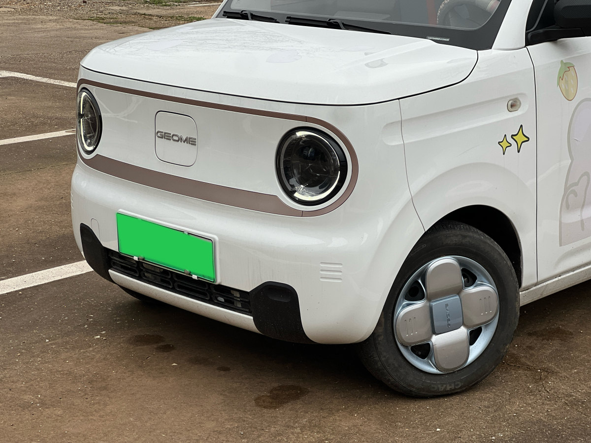 吉利 熊貓mini  2023款 200km 耐力熊圖片