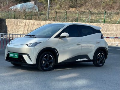2024年1月 比亞迪 海鷗 自由版圖片