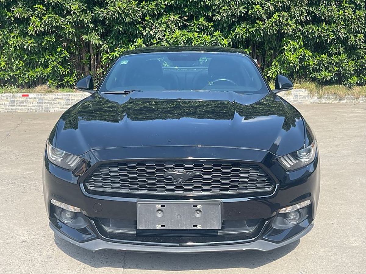 福特 Mustang  2015款 2.3T 性能版圖片