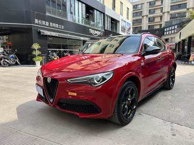 2019年7月 阿爾法·羅密歐 Stelvio 2.0T 200HP 精英版圖片