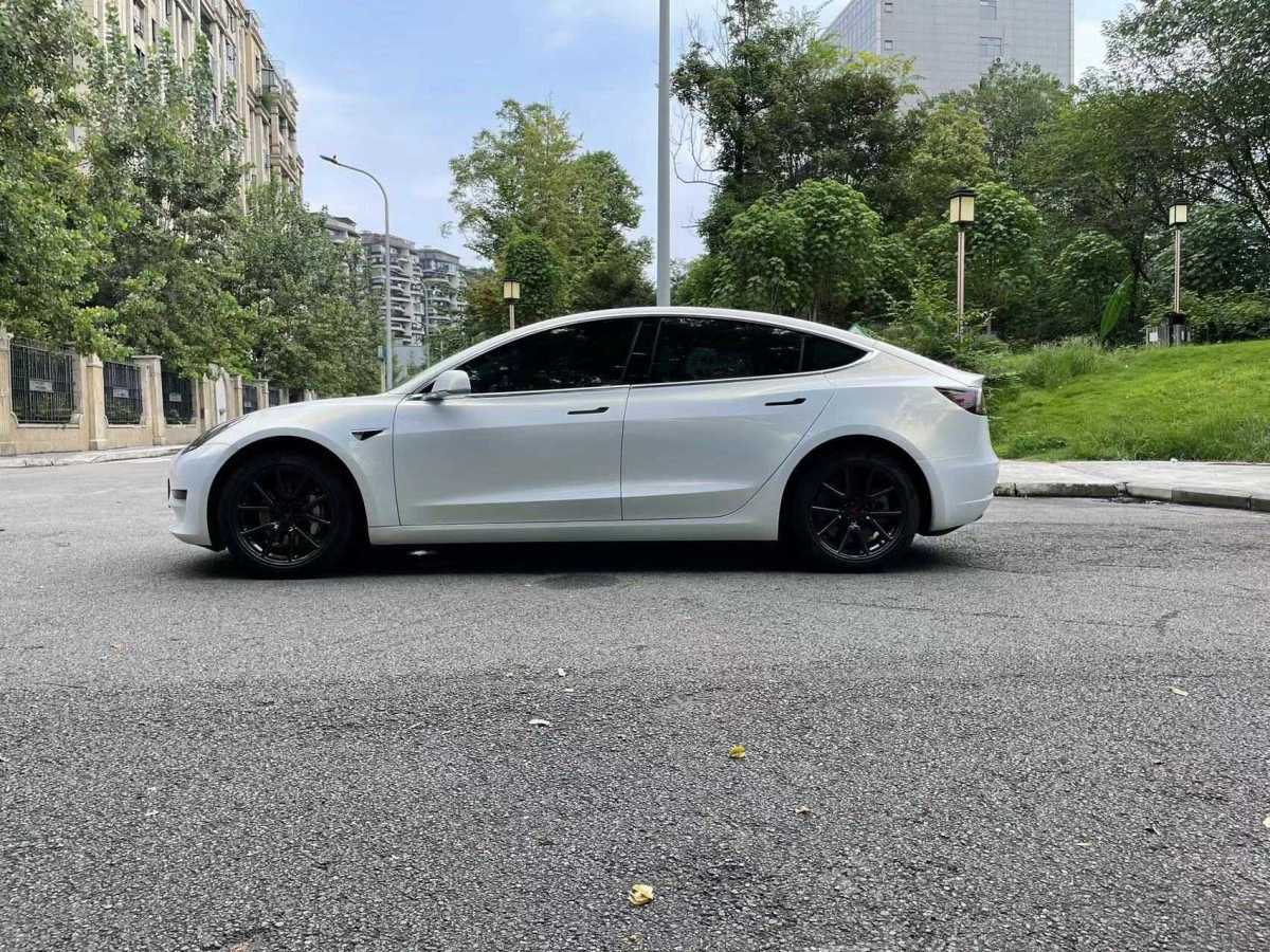 特斯拉 Model 3  2019款 標(biāo)準(zhǔn)續(xù)航后驅(qū)升級版圖片