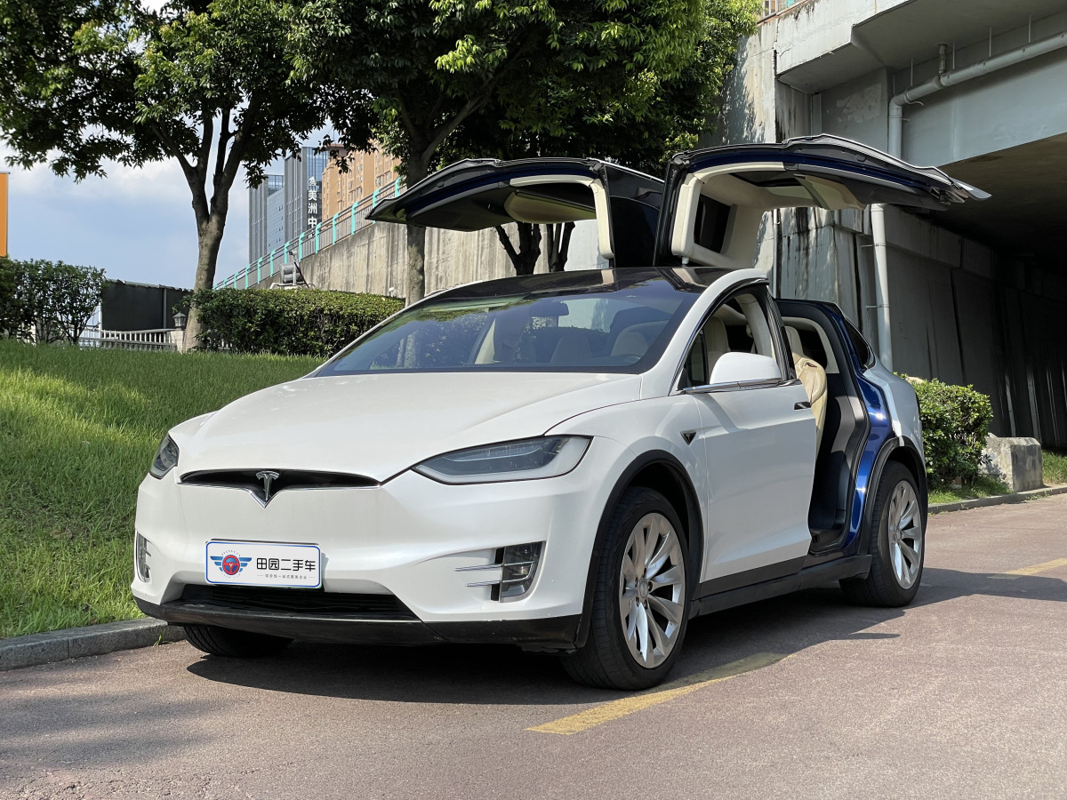 特斯拉 Model X  2016款 Model X 90D圖片