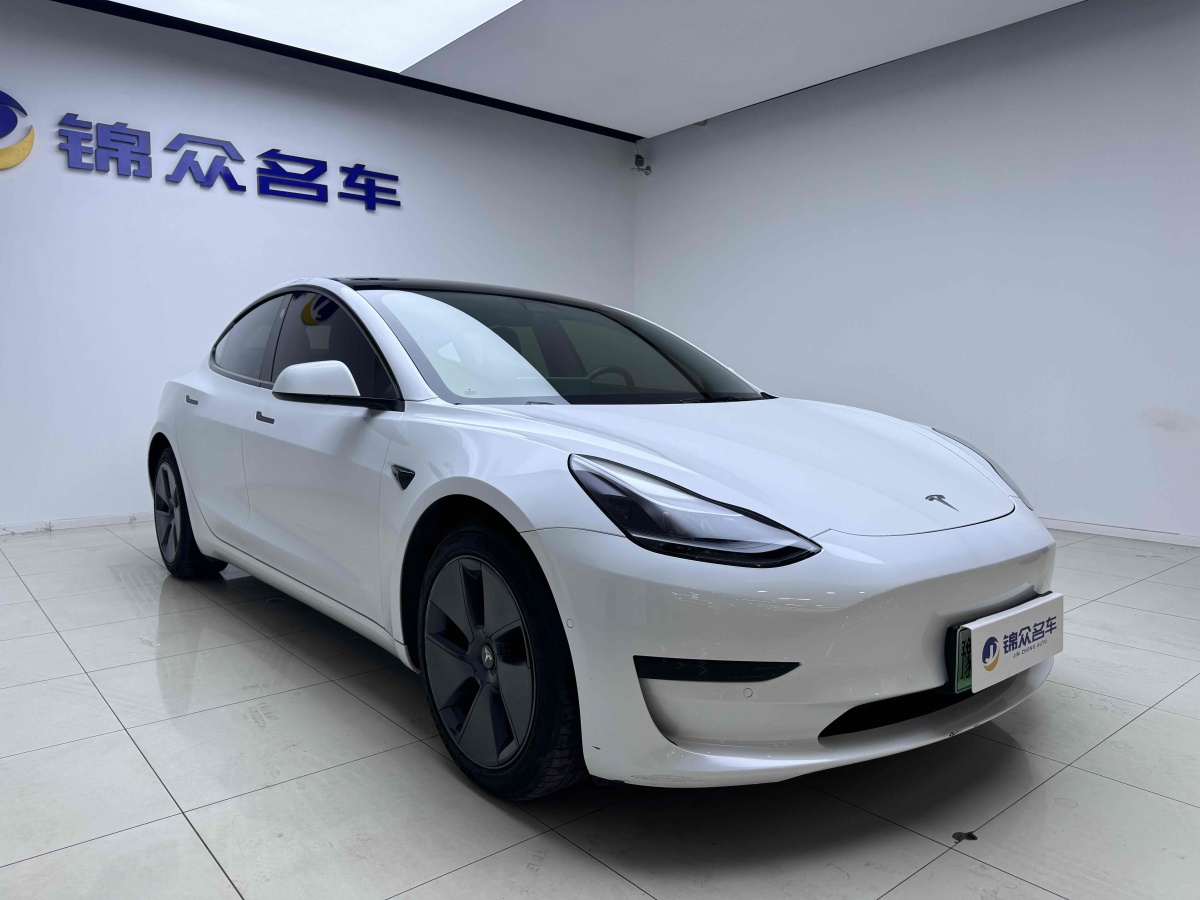 特斯拉 Model 3  2019款 標(biāo)準(zhǔn)續(xù)航后驅(qū)升級(jí)版圖片