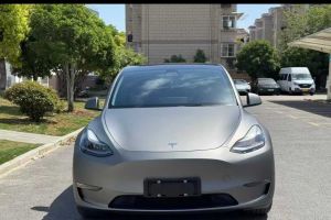 Model Y 特斯拉 Performance高性能全輪驅(qū)動版