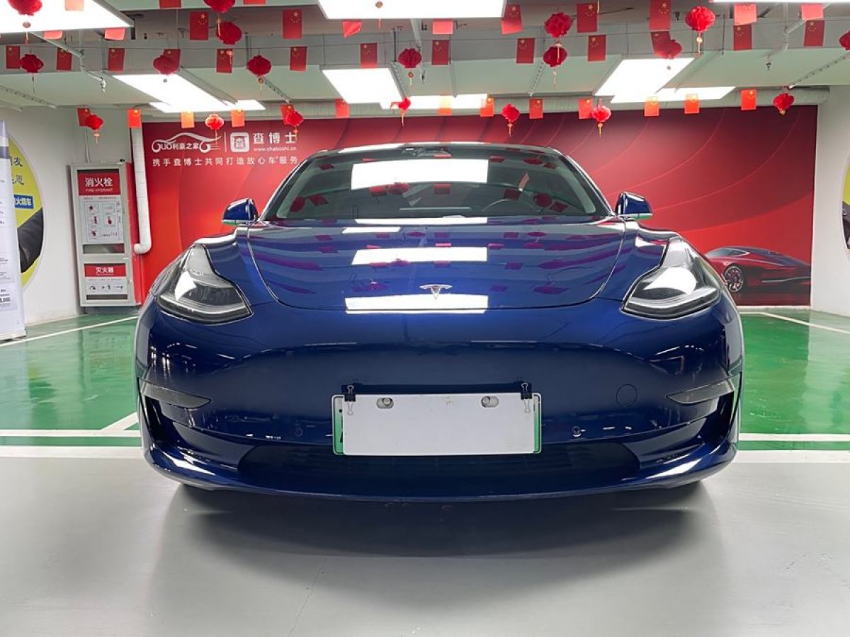 特斯拉 Model 3  2019款 長續(xù)航后驅(qū)版圖片