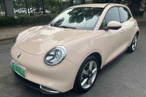 歐拉好貓 歐拉 400km標準續(xù)航 尊貴型 三元鋰