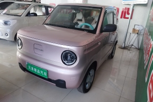 熊猫mini 吉利 200km 耐力熊