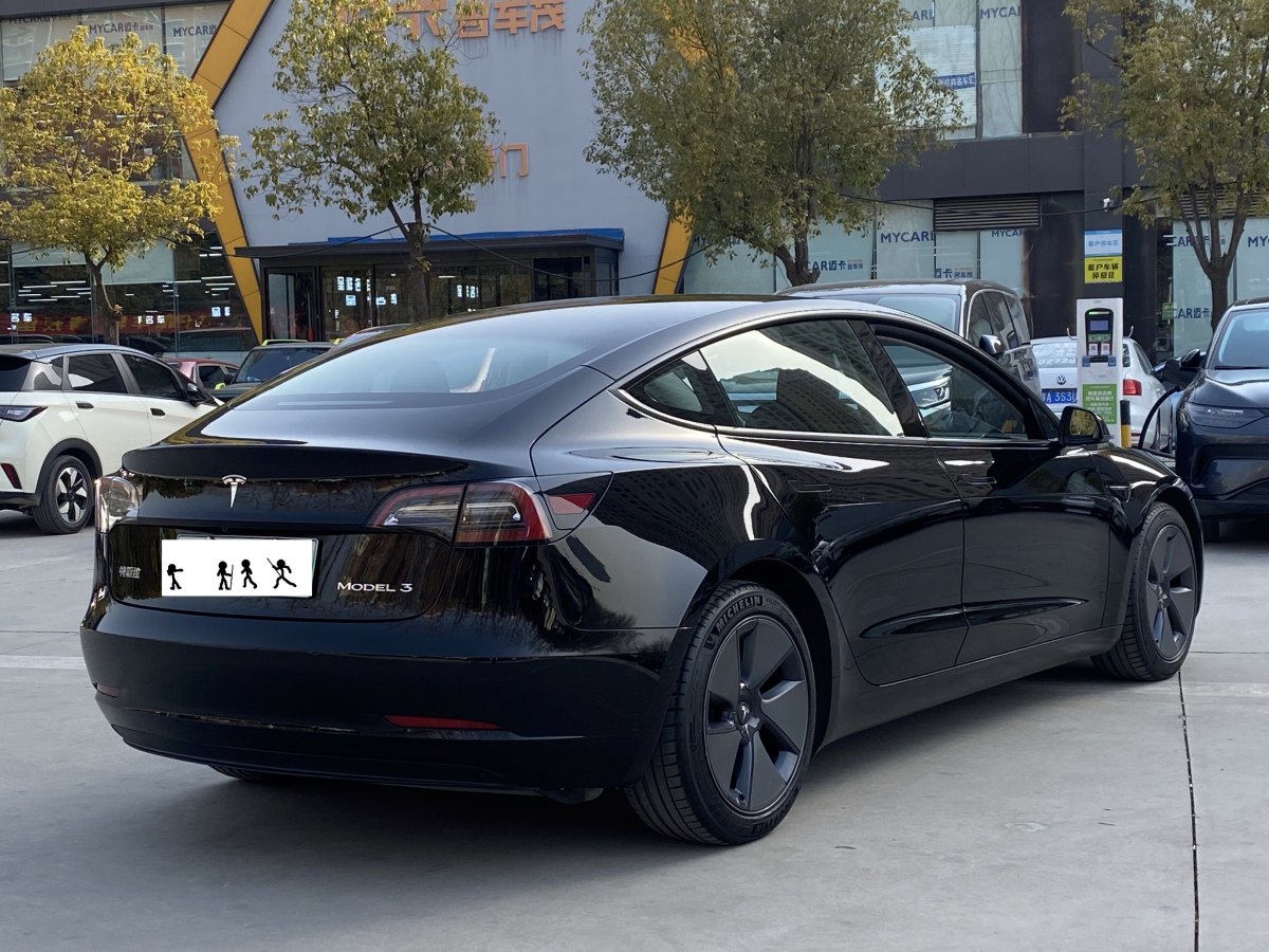 特斯拉 Model 3  2019款 標(biāo)準(zhǔn)續(xù)航后驅(qū)升級(jí)版圖片