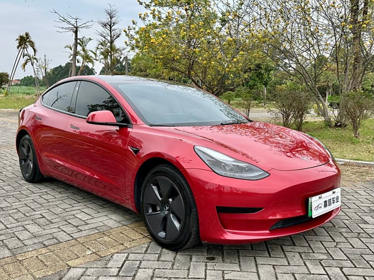 特斯拉 Model 3  2021款 改款 標(biāo)準(zhǔn)續(xù)航后驅(qū)升級版圖片