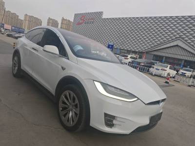 2017年5月 特斯拉 Model X Model X 90D圖片