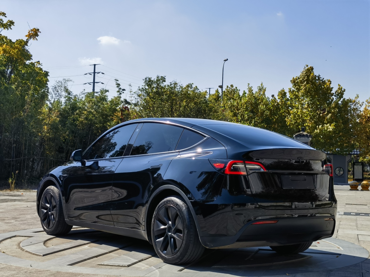 特斯拉 Model Y  2023款 煥新版 后輪驅(qū)動圖片