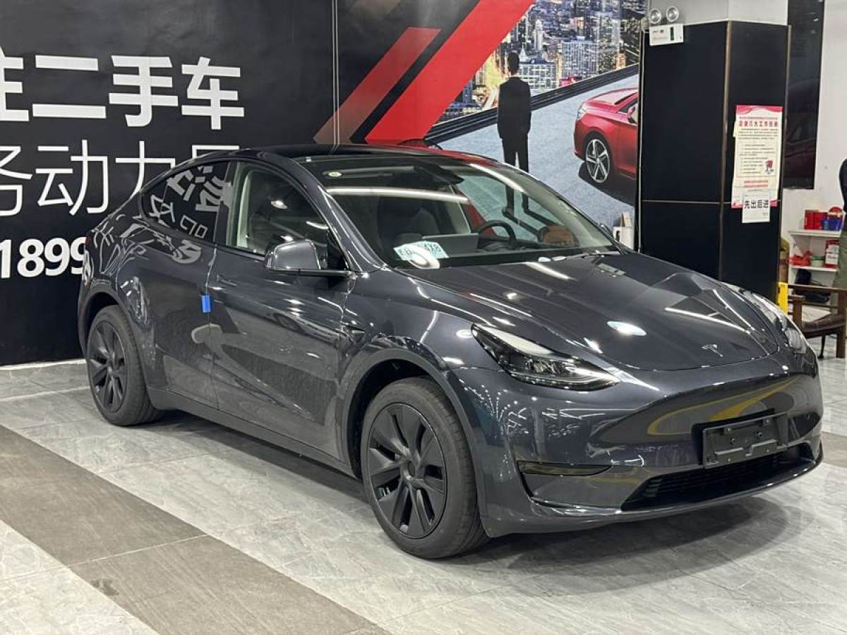 特斯拉 Model 3  2020款 改款 長續(xù)航后輪驅(qū)動版圖片