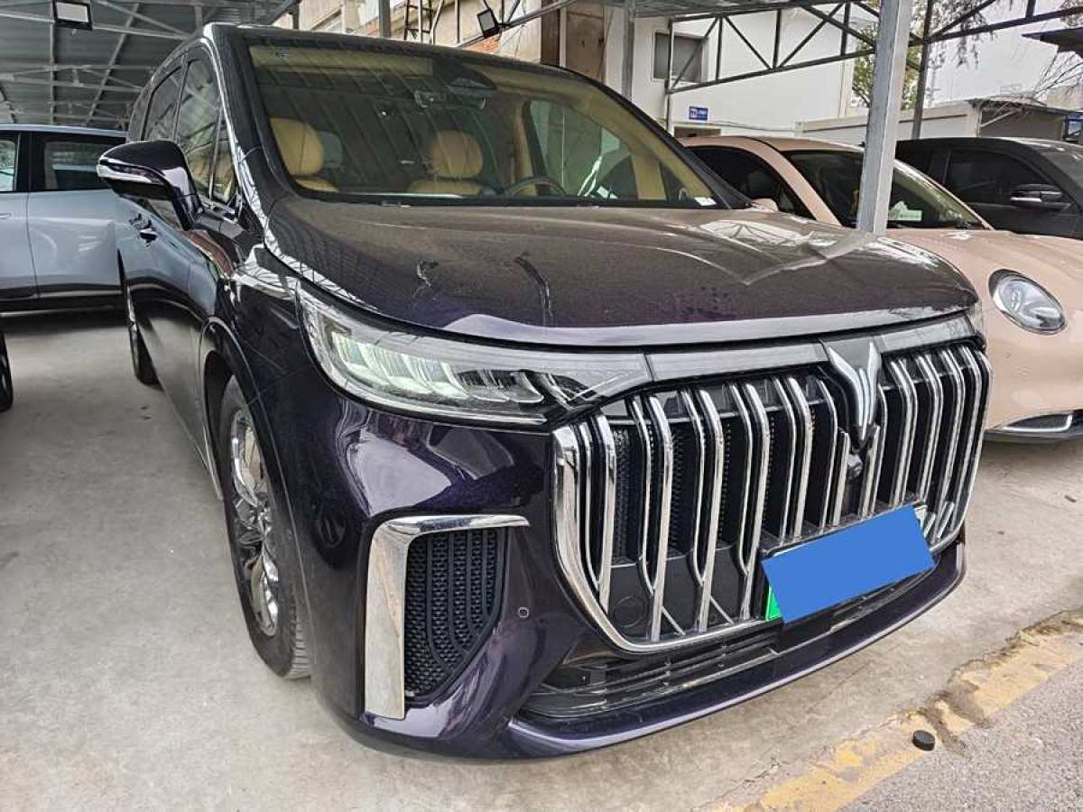 嵐圖 夢想家  2024款 PHEV 超長續(xù)航旗艦版圖片