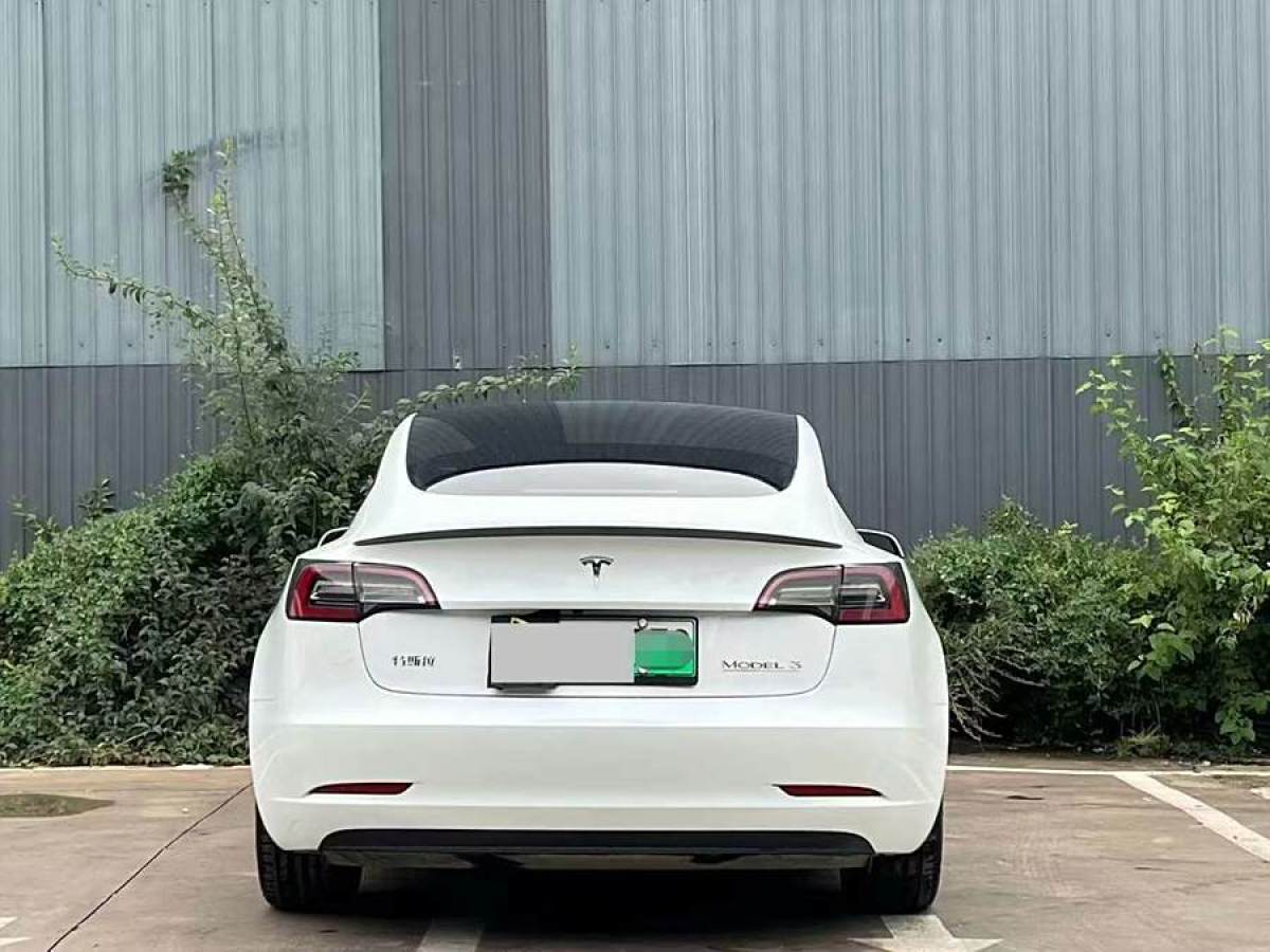 特斯拉 Model 3  2020款 改款 標(biāo)準(zhǔn)續(xù)航后驅(qū)升級版圖片