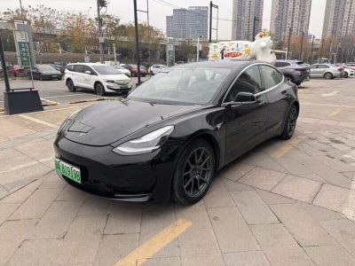 2020年9月 特斯拉 Model 3 改款 標(biāo)準(zhǔn)續(xù)航后驅(qū)升級(jí)版圖片