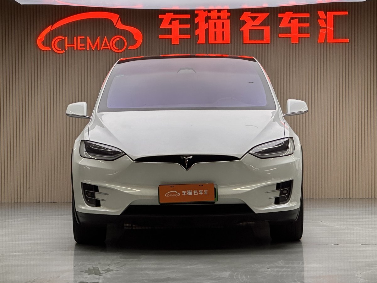 特斯拉 Model X  2017款 Model X 100D 長續(xù)航版圖片