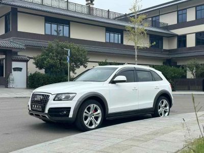 2010年1月 奧迪 奧迪Q5(進口) Q5 2.0TSI 首發(fā)限量版運動版圖片