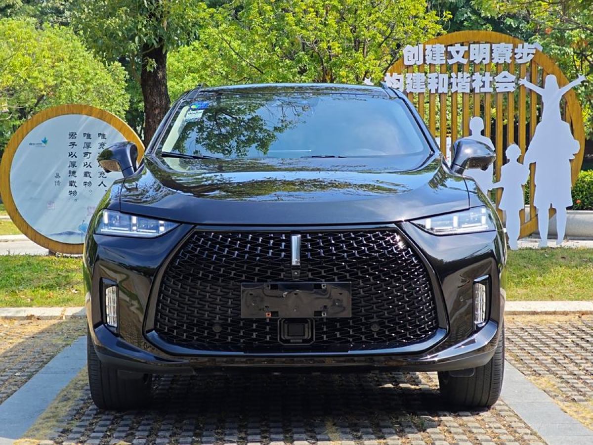 WEY P8  2018款 2.0T 尊享型圖片