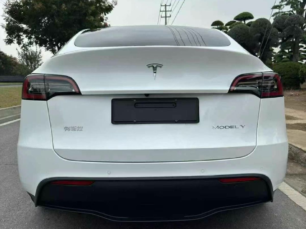 特斯拉 Model S  2023款 三電機(jī)全輪驅(qū)動 Plaid版圖片