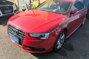 奧迪A5 奧迪 A5 Cabriolet 2.0TFSI 45TFSI Quattro