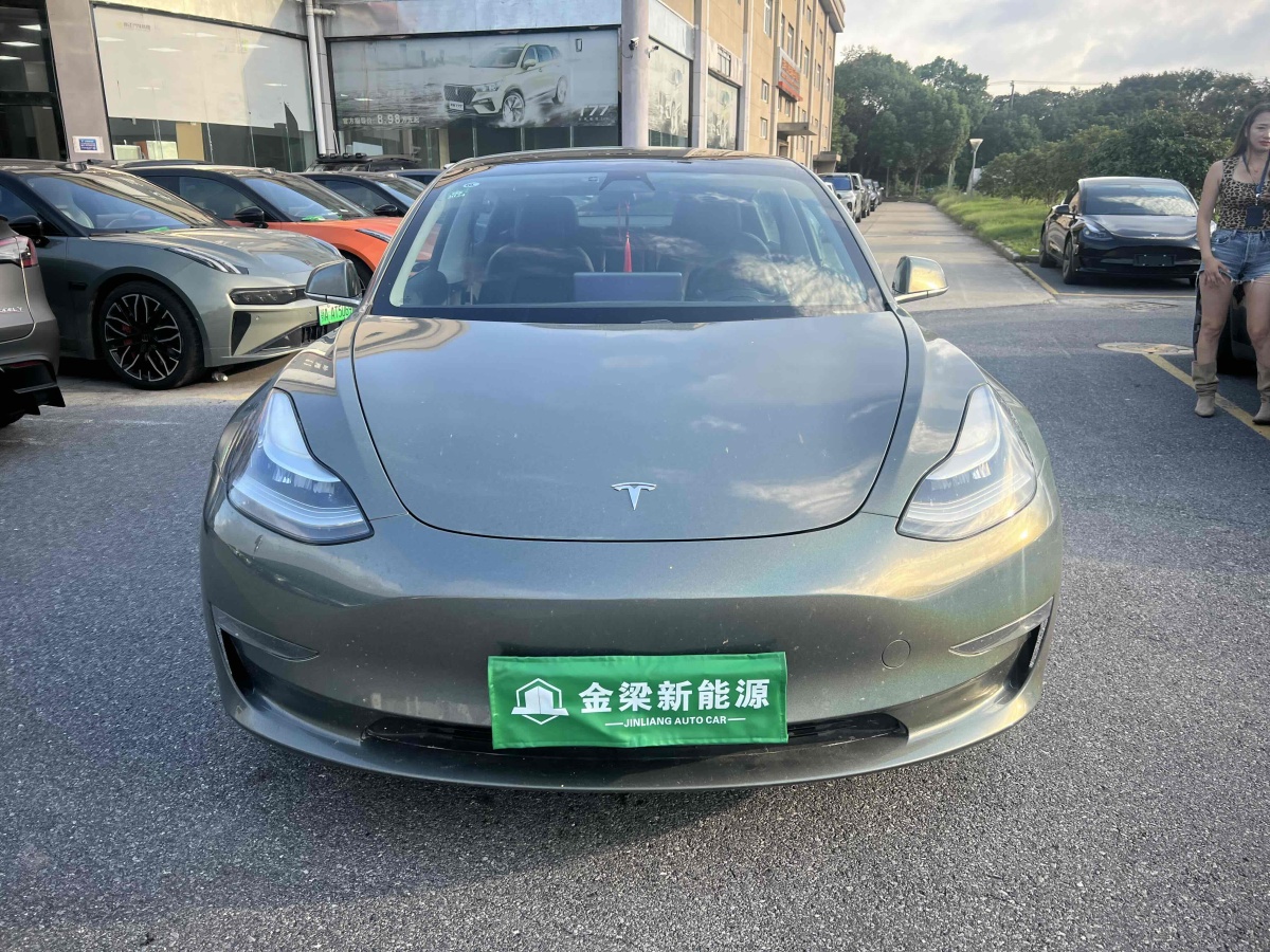 特斯拉 Model 3  2019款 Performance高性能全輪驅(qū)動(dòng)版圖片