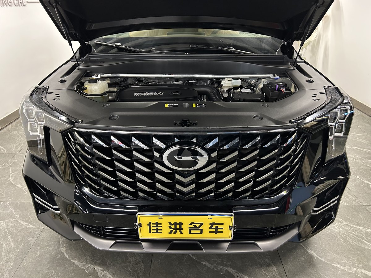 廣汽傳祺 GS8  2024款 領(lǐng)航系列 2.0TGDI 兩驅(qū)豪華智聯(lián)版圖片