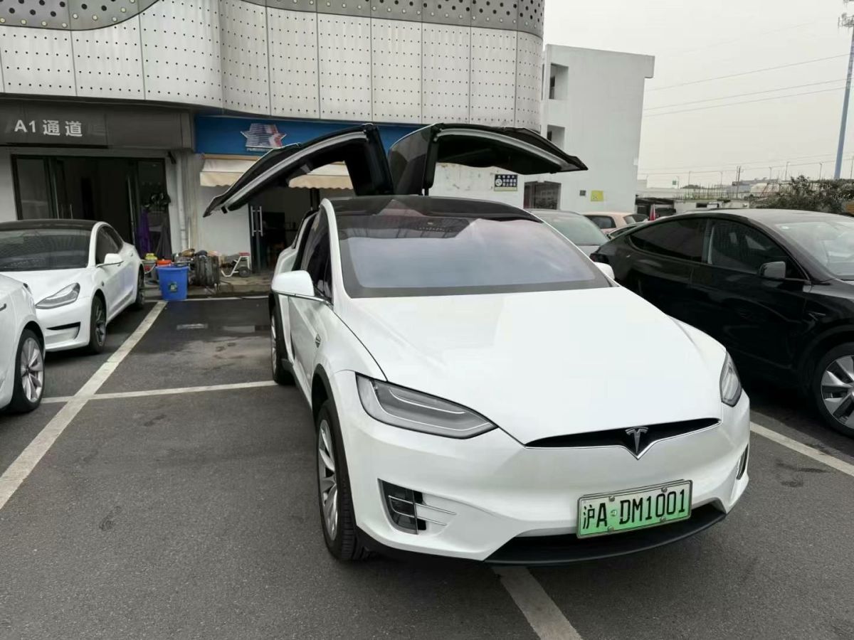 特斯拉 Model X  2020款 Performance 高性能版圖片