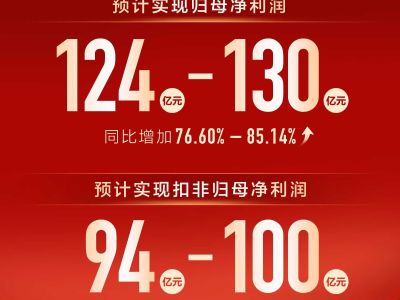 2024年1月 長(zhǎng)城 金剛炮 2.0T手動(dòng)柴油兩驅(qū)創(chuàng)業(yè)型平箱圖片